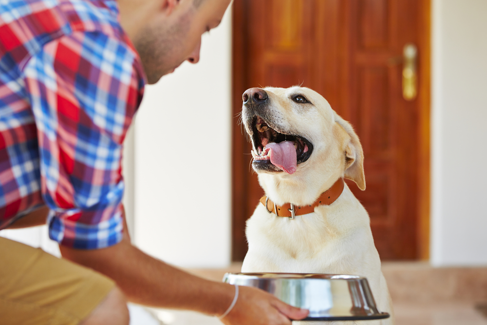 dog owner and dog with dog bowl