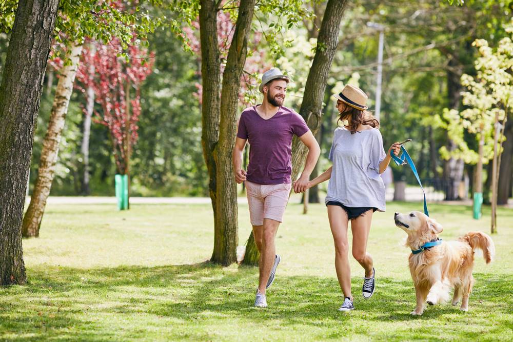 couple running with their dog in the park