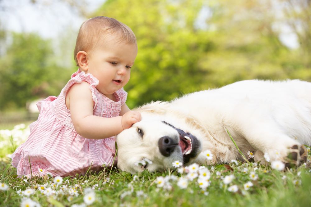 baby girl playing with dog