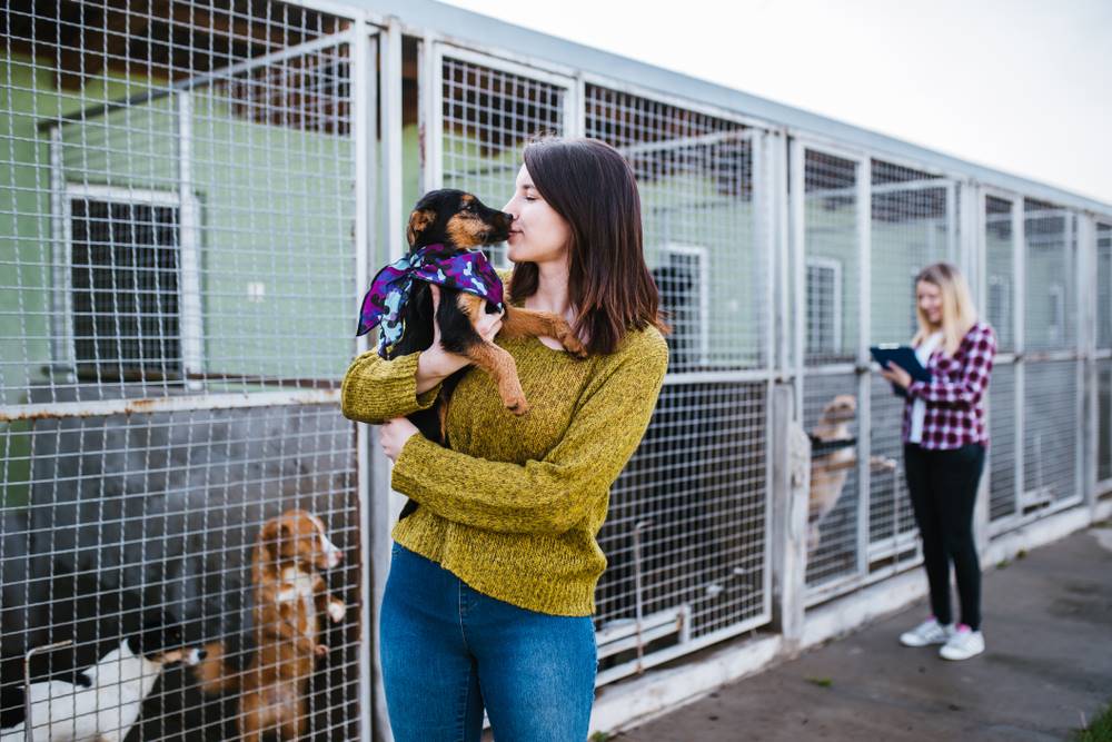 woman holding dog from shelter