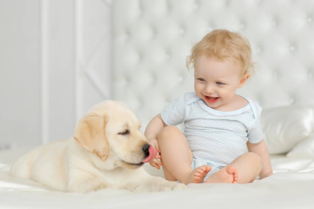 a baby and a dog
