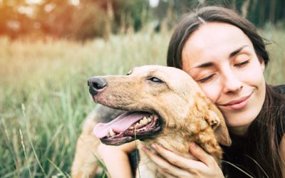 Why Adopting an Older Dog Might Be Better for You