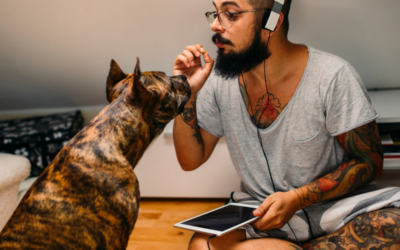 Dog Language: How to Communicate with Your Dog