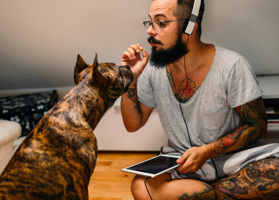 Communicate with Your Dog