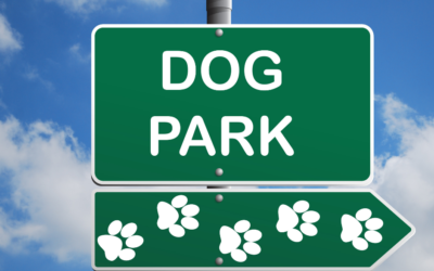 Dog Park Etiquette and Safety