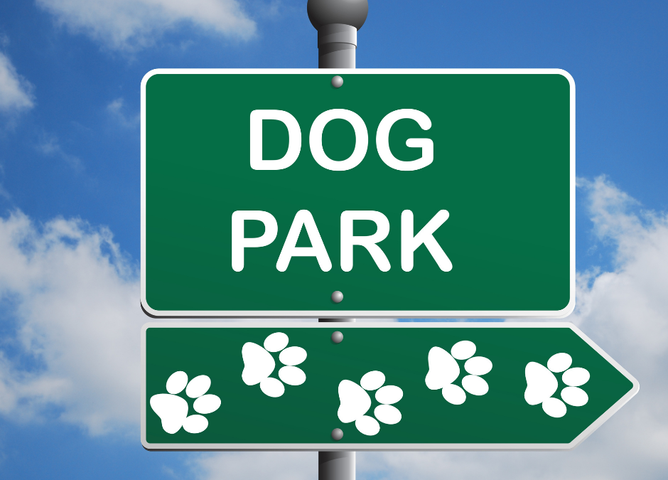 Dog Park Etiquette and Safety